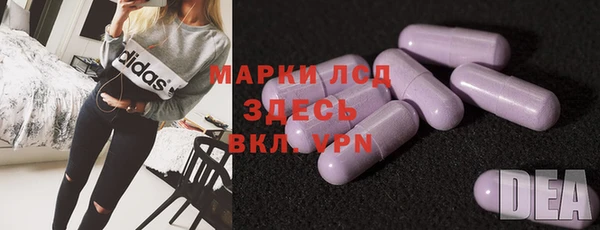 твердый Лагань
