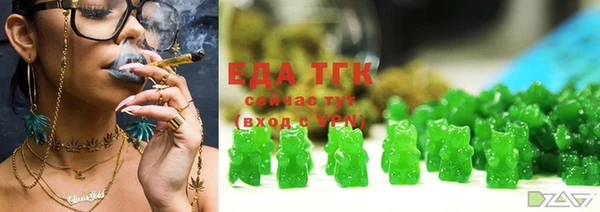 индика Вяземский