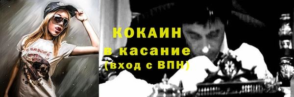 дмт Ладушкин