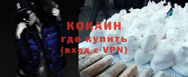 твердый Лагань