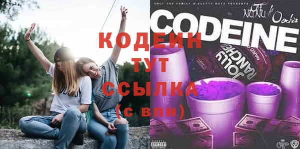 твердый Лагань
