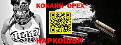 гидра Гатчина