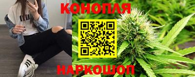 гидра Гатчина