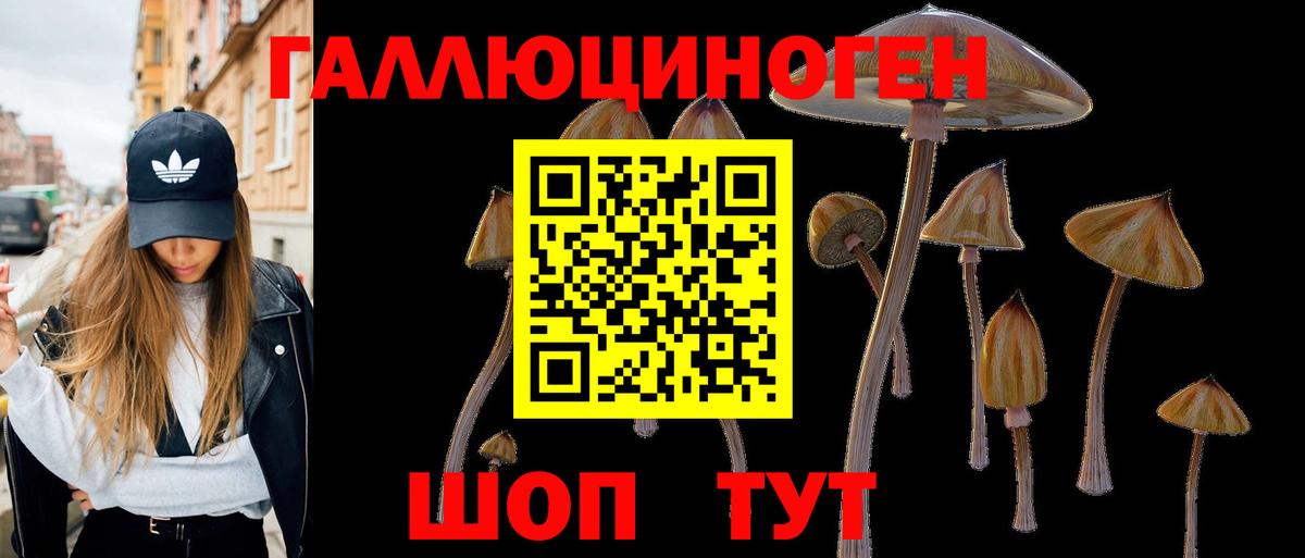 Галлюциногенные грибы мицелий  Вход с VPN  Галлюциногенные грибы Psilocybe  Еманжелинск 